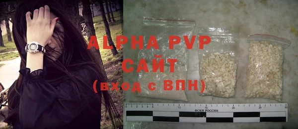 a pvp Новозыбков