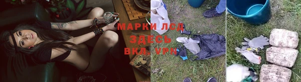 a pvp Новозыбков