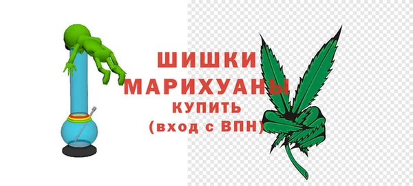 a pvp Новозыбков