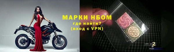 a pvp Новозыбков