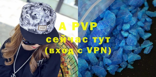 a pvp Новозыбков