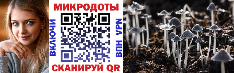 Псилоцибиновые грибы Cubensis  Сегежа 