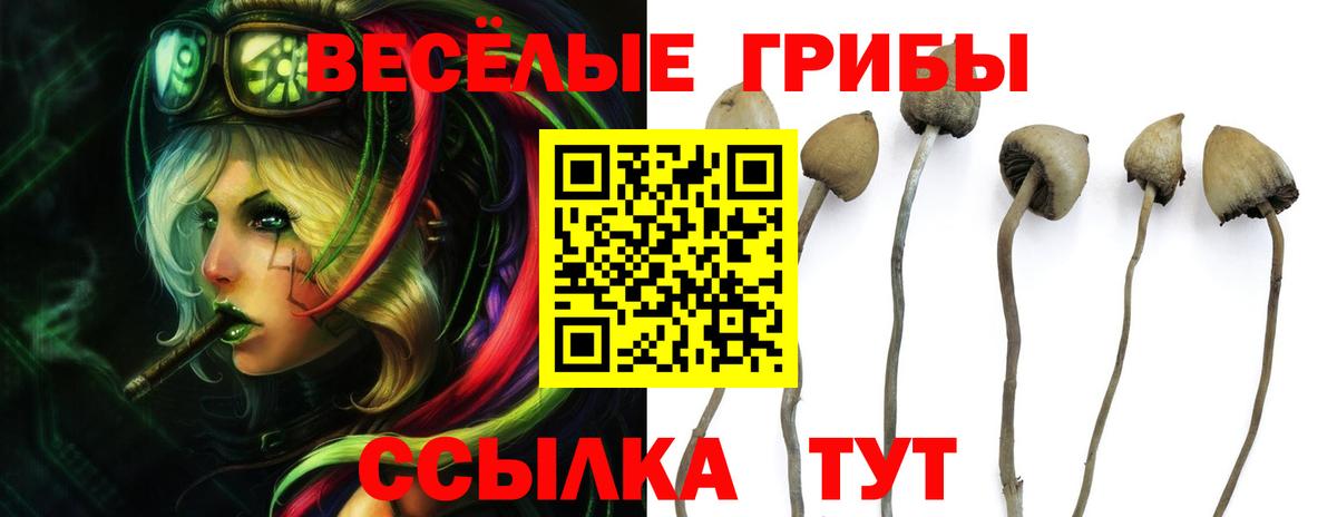 Псилоцибиновые грибы Magic Shrooms Сегежа