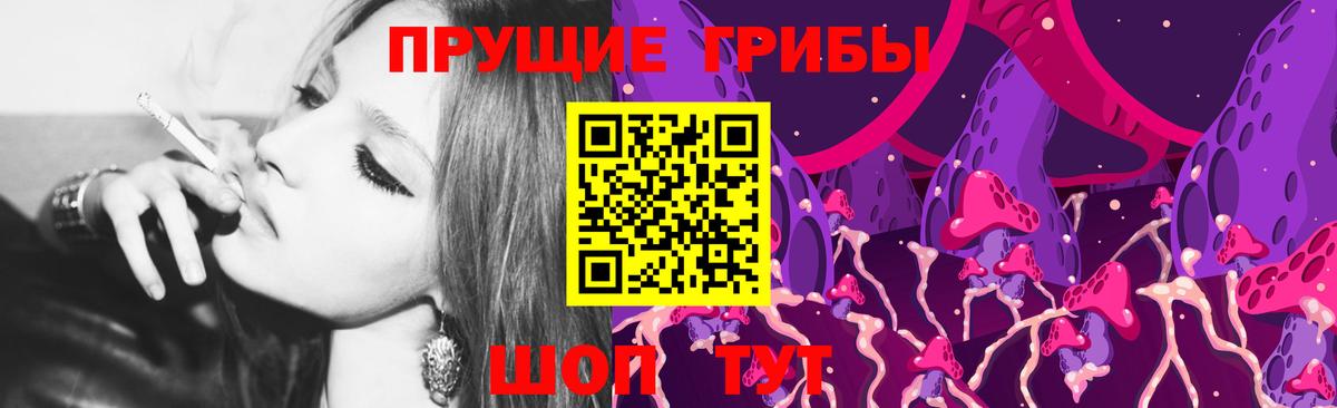 Сегежа  Псилоцибиновые грибы MAGIC MUSHROOMS  даркнет сайт  Вход с VPN 